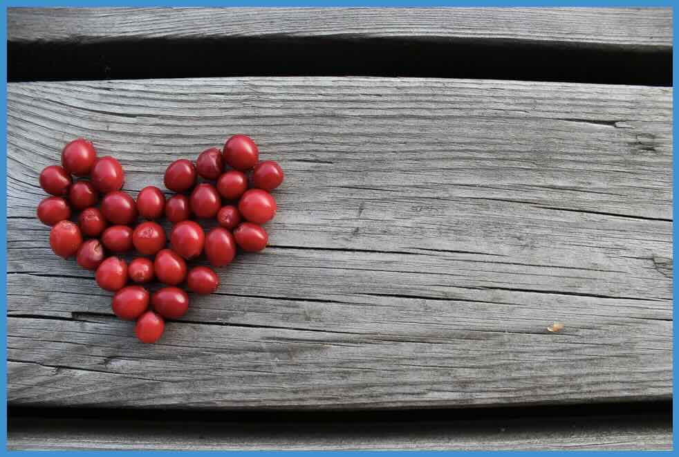 Wo bist du Amore (Keyboard-Style) - Keys-Experts